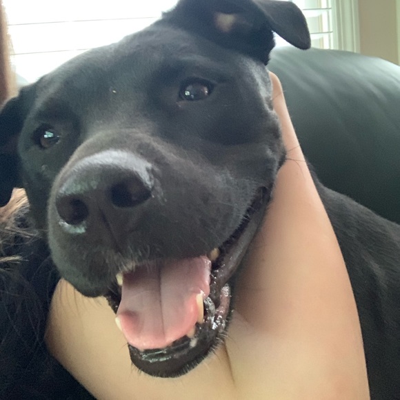 Free People Denim - Going off to college sale! 🏫 Make offers! I will not get offended by any offer✨